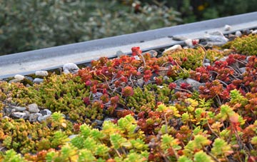 the cost of Wadswick green roof installation