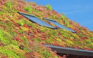 Wadswick living roof systems